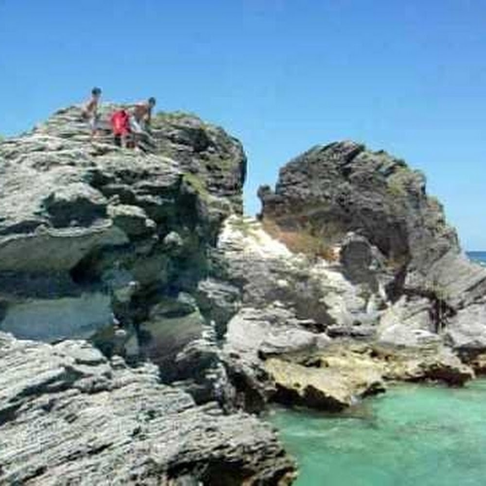 Meet your Posher, Liam